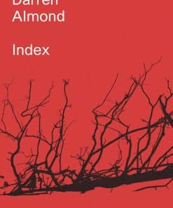 Darren Almond: Index